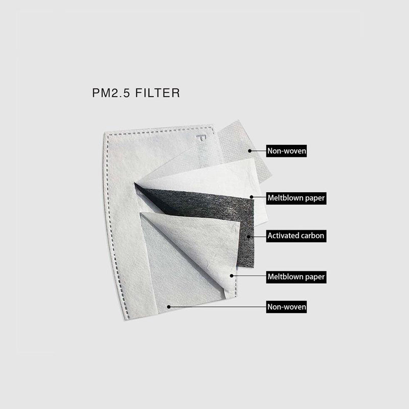 PM2.5 filter